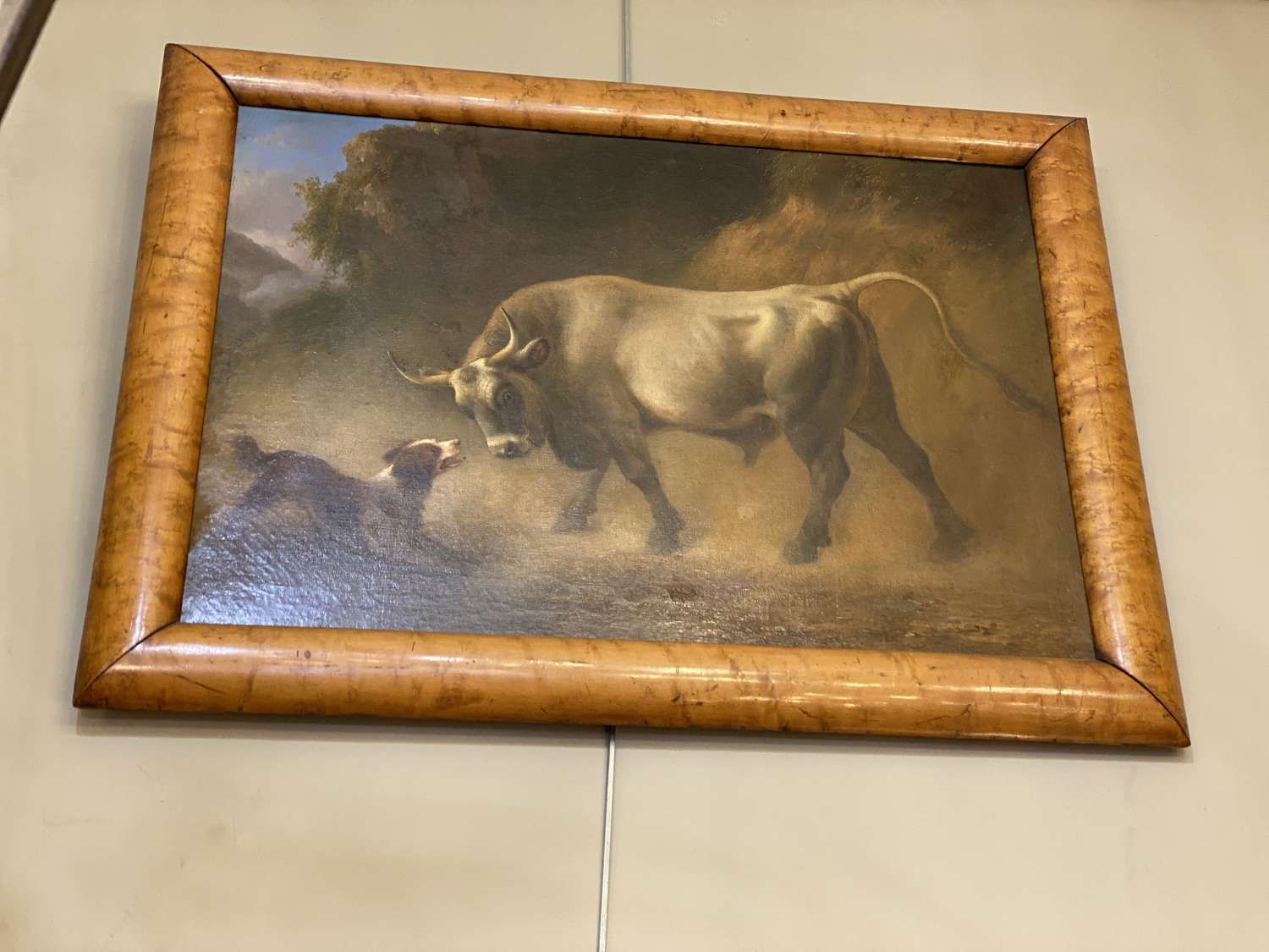 C1820 An Oil on Canvas of a Dog Teasing a Bull