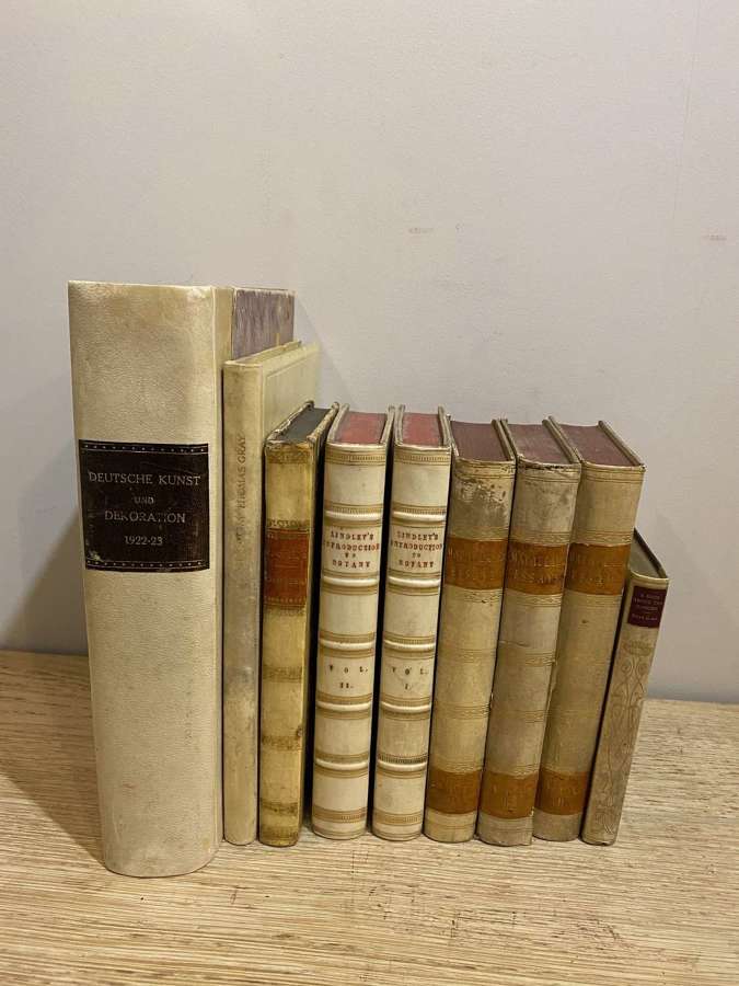 19th Century - A Collection of 9 Decorative Vellum Books