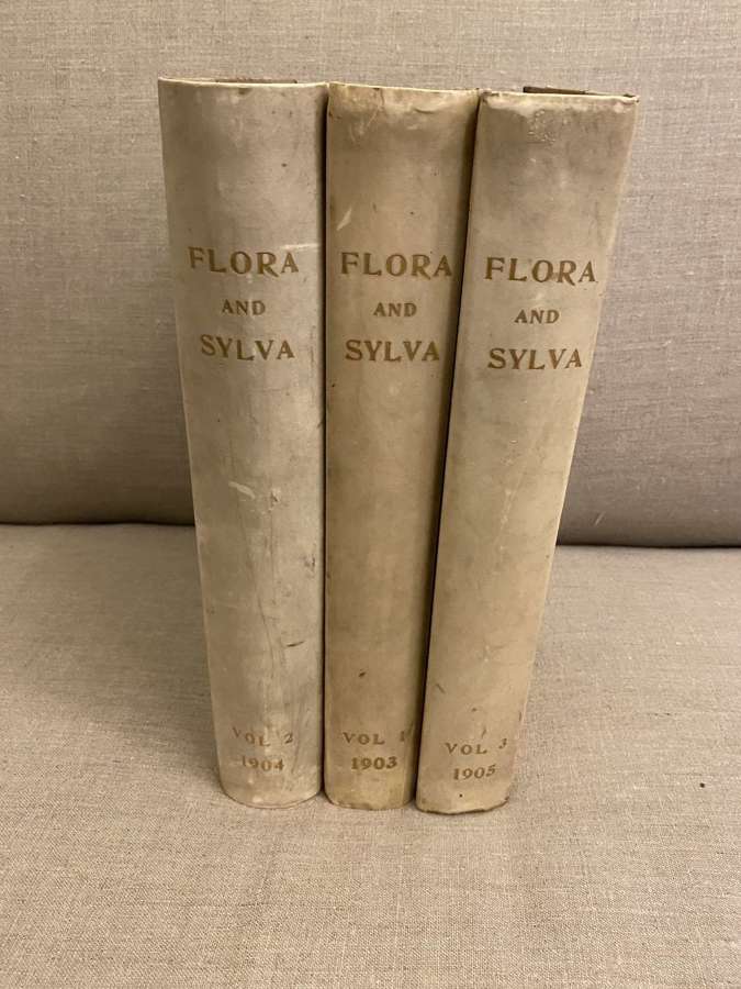 1903-5 3 Vellum Bound Volumes of Flora & Sylva